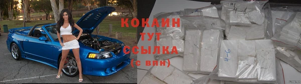 прущие грибы Белоозёрский