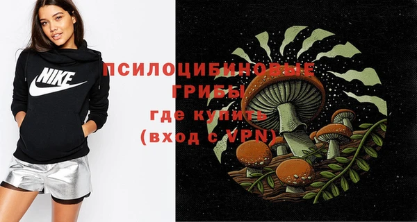 прущие грибы Белоозёрский