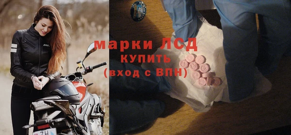 прущие грибы Белоозёрский
