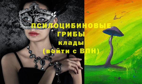 прущие грибы Белоозёрский