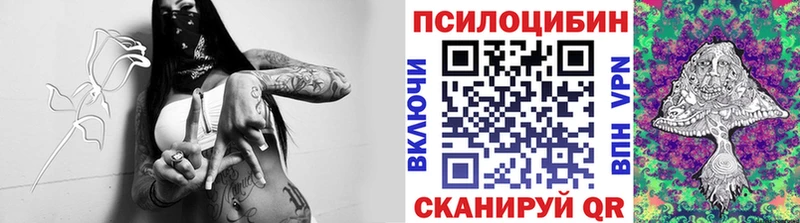 kraken онион наркотики Кодинск Галлюциногенные грибы Psilocybe